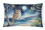 Owl Throw Pillow for Indoor Couch, Bed, Outdoor Patio Washable, 7532,12Hx16W