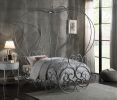 Priya Silver Finish Twin Bed W/Canopy