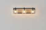 Farmhouse Vanity Light Fixture, 3-Light Bathroom Wall Sconce with Clear Seeded Glass Shades, Rustic Black Finish with Wood Backplate